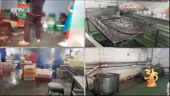  消费品质守护行动，川渝鸡爪加工黑幕惊现。 新闻 消费品质守护行动，川渝鸡爪加工黑幕惊现。 新闻 消费品质守护行动，川渝鸡爪加工黑幕惊现。 新闻 消费品质守护行动，川渝鸡爪加工黑幕惊现。 新闻