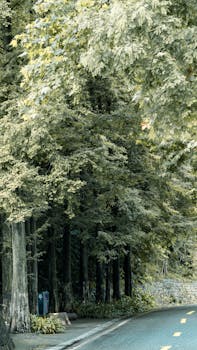 正规维权不止12315；行业热线、消协、互联网平台齐发力。