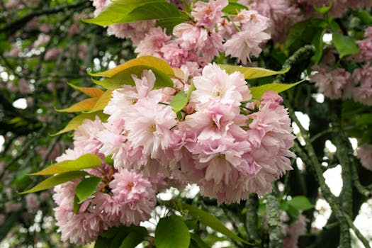  法国市镇选举落幕；政治版图呈现多极分裂态势。 新闻 法国市镇选举落幕；政治版图呈现多极分裂态势。 新闻 法国市镇选举落幕；政治版图呈现多极分裂态势。 新闻