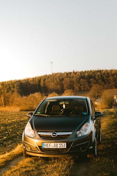 中国汽车产业加速全球化布局；与全球南方国家形成深度互补；共促绿色转型与经济发展。