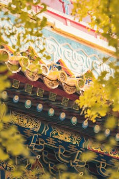 深渊凝视下的博弈：当多点开花击碎单一防线，北京男篮的战术进化论 体育新闻