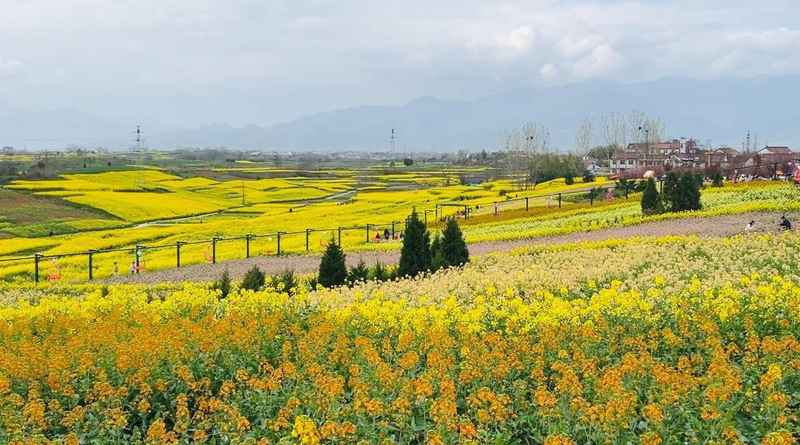  审美焦虑与自然疗愈：寻回秦巴山间的精神锚点 情感心理 审美焦虑与自然疗愈：寻回秦巴山间的精神锚点 情感心理 审美焦虑与自然疗愈：寻回秦巴山间的精神锚点 情感心理 审美焦虑与自然疗愈：寻回秦巴山间的精神锚点 情感心理