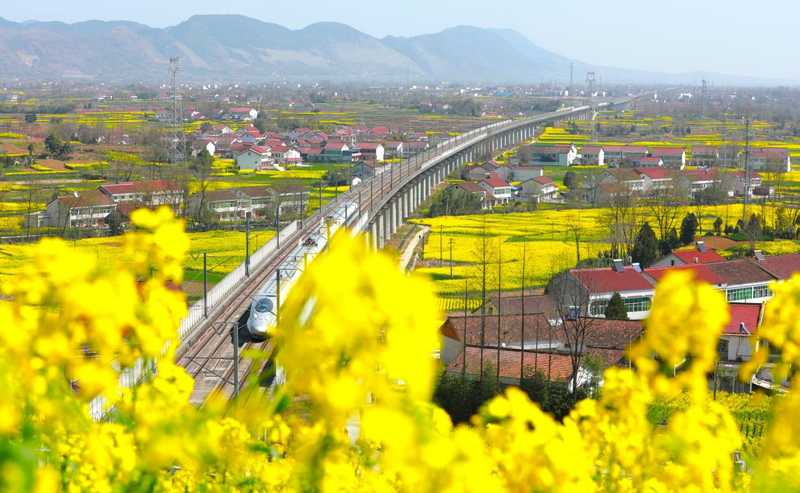  审美焦虑与自然疗愈：寻回秦巴山间的精神锚点 情感心理 审美焦虑与自然疗愈：寻回秦巴山间的精神锚点 情感心理 审美焦虑与自然疗愈：寻回秦巴山间的精神锚点 情感心理 审美焦虑与自然疗愈：寻回秦巴山间的精神锚点 情感心理