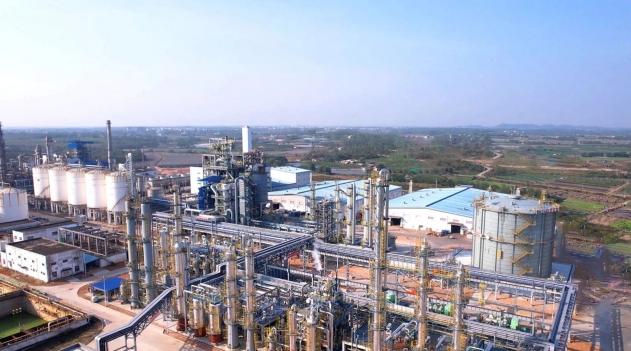  区域政府与教育决策者：新型研究型大学的战略突围指南 教育招生