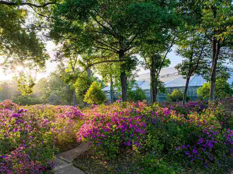  清明带娃去哪儿？这座植物园让3岁到12岁的孩子都舍不得走 文化旅游