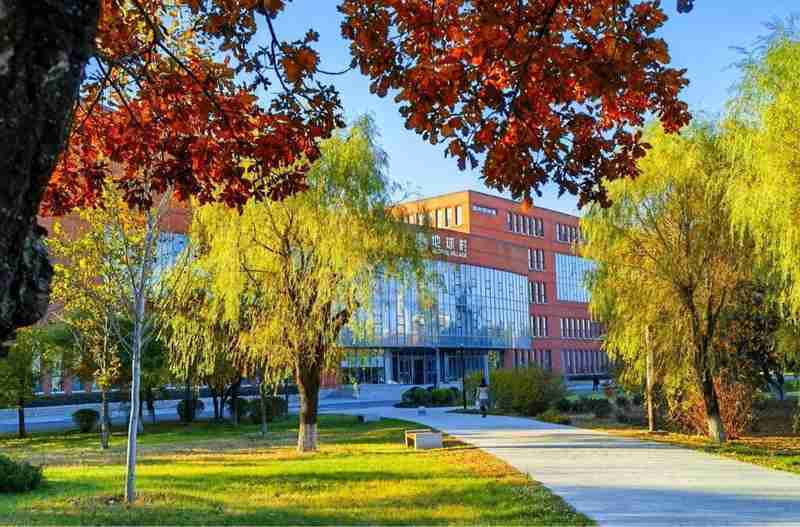 别再只盯着211了！这30所"低调高手"院校，藏着普通孩子逆袭的真正机会