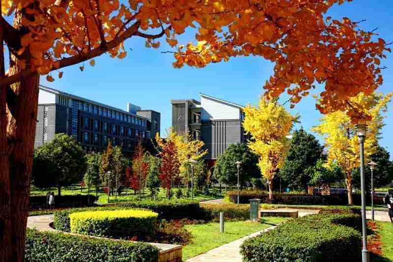  别再只盯着211了！这30所"低调高手"院校，藏着普通孩子逆袭的真正机会 教育招生