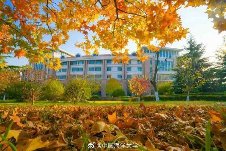  别再只盯着211了！这30所"低调高手"院校，藏着普通孩子逆袭的真正机会 教育招生