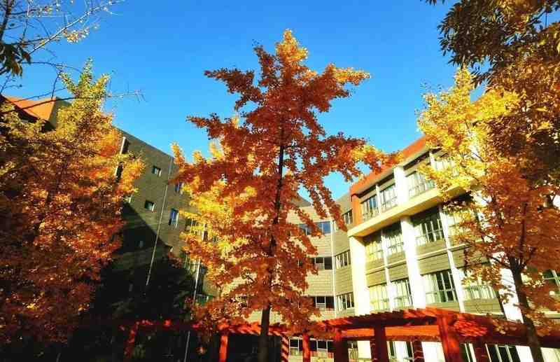  别再只盯着211了！这30所"低调高手"院校，藏着普通孩子逆袭的真正机会 教育招生