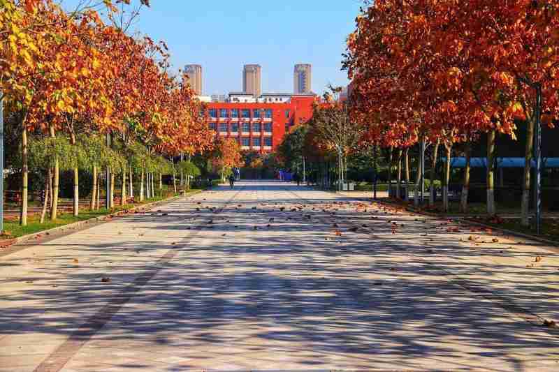  别再只盯着211了！这30所"低调高手"院校，藏着普通孩子逆袭的真正机会 教育招生