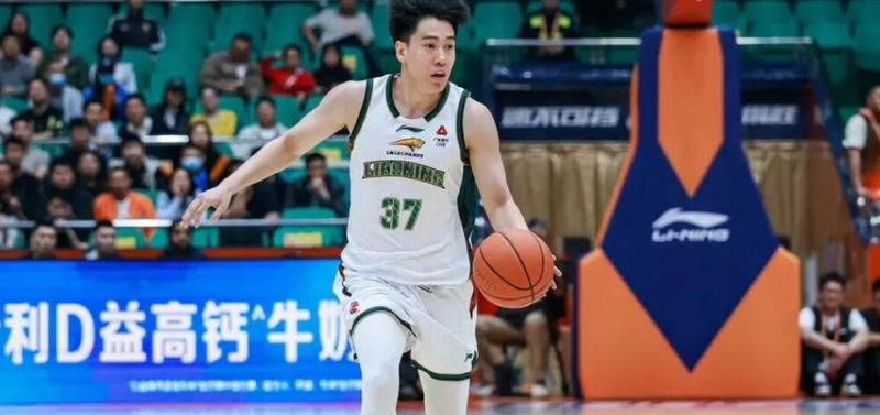  辽宁男篮战术解码：赵继伟复苏背后的战略价值与季后赛卡位深层逻辑 体育新闻