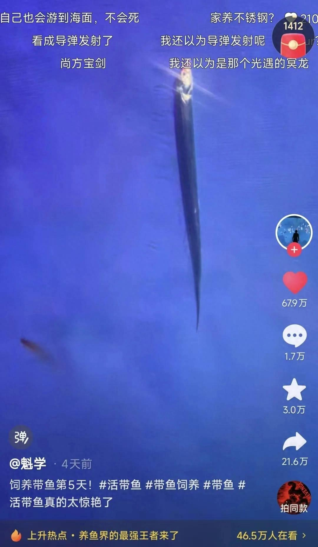  技术拆解：广东玩家如何突破带鱼“出水即死”生理极限的科学方法 新闻