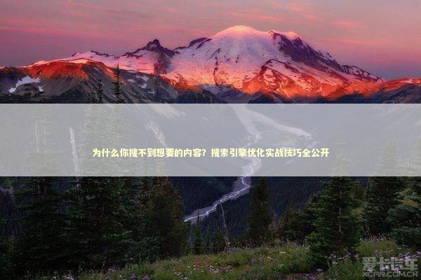 为什么你搜不到想要的内容？搜索引擎优化实战技巧全公开 IT技术