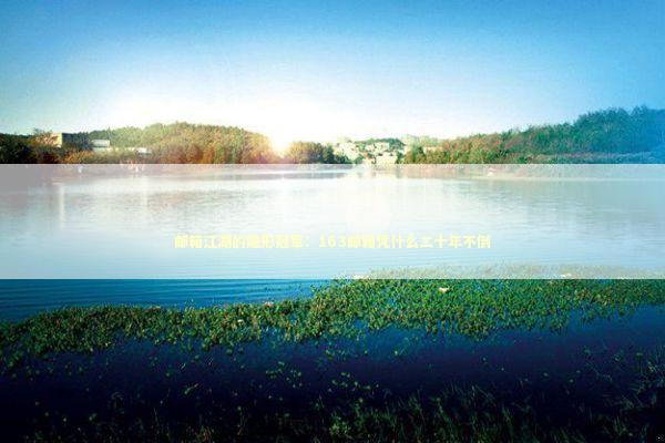 邮箱江湖的隐形冠军：163邮箱凭什么二十年不倒 IT技术